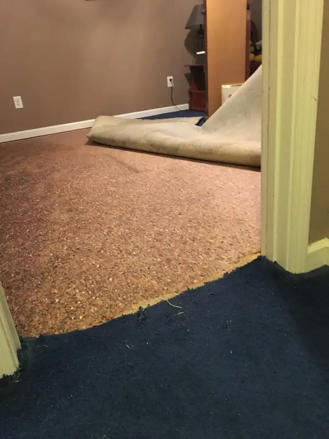 Carpet pad removal revealing water damage during Drying & Dehumidification in Maynard
